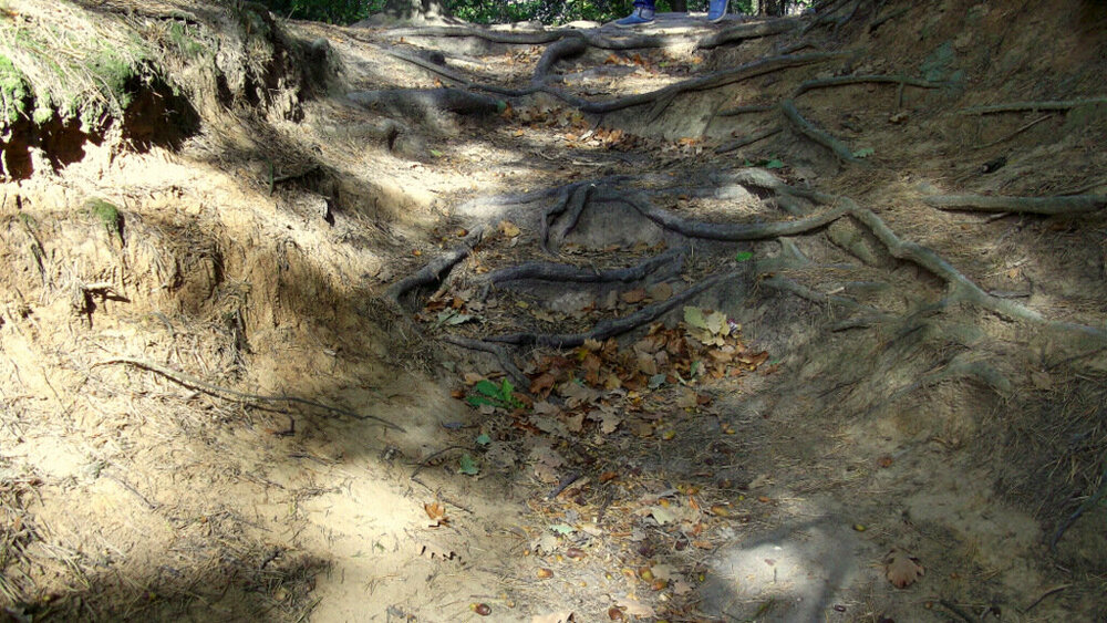 Золотые стёжки Чешского Рая 1248.JPG