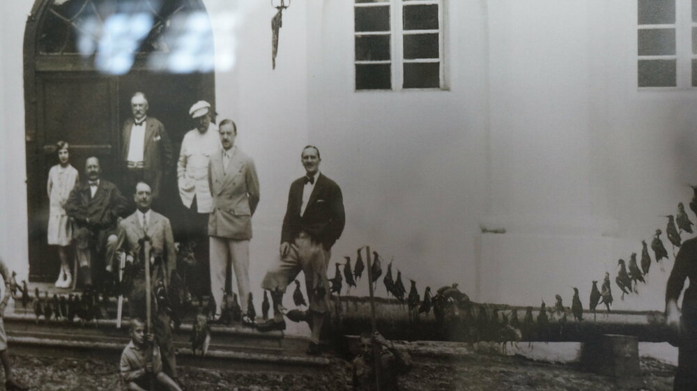 DSC02153 — копия.JPG