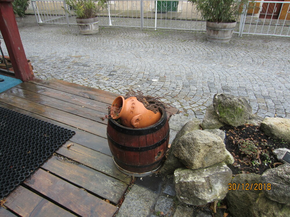 2018-30-Руст 10 ресторан.JPG