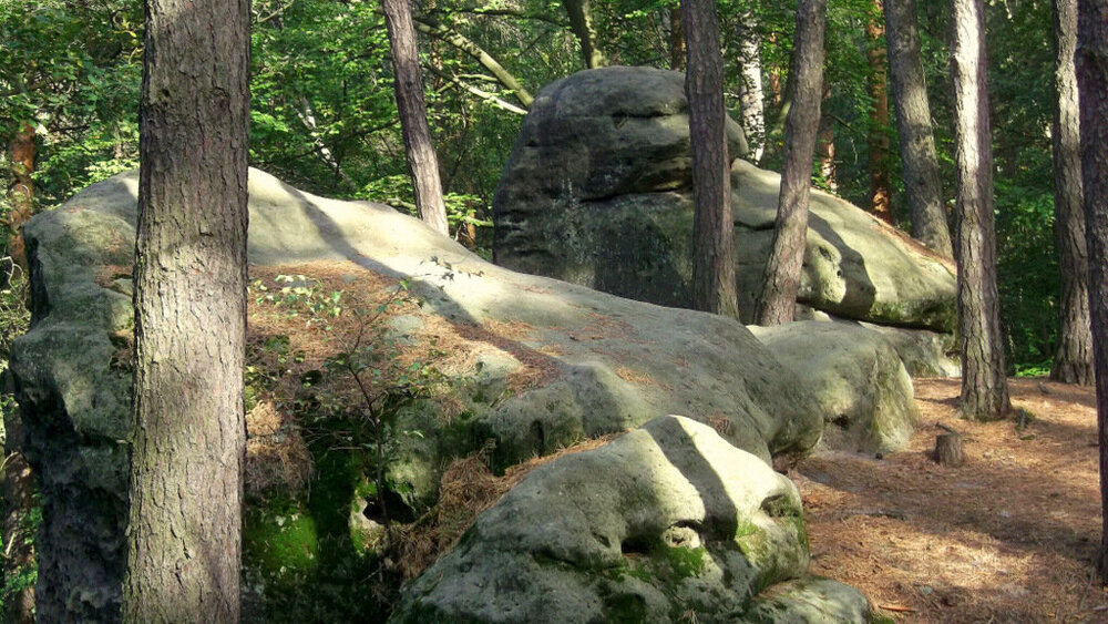 Золотые стёжки Чешского Рая 1270.JPG