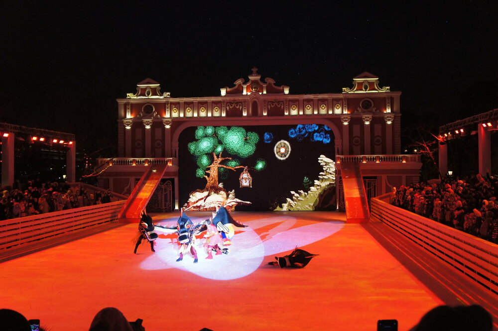 DSC08079 %22Царевна-лягушка%22 6.01.19 г   .JPG