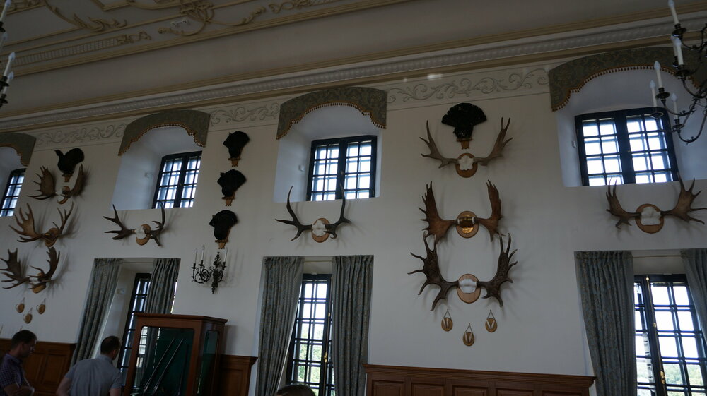 DSC02158 — копия.JPG