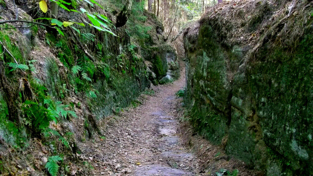 Золотые стёжки Чешского Рая 1266.JPG