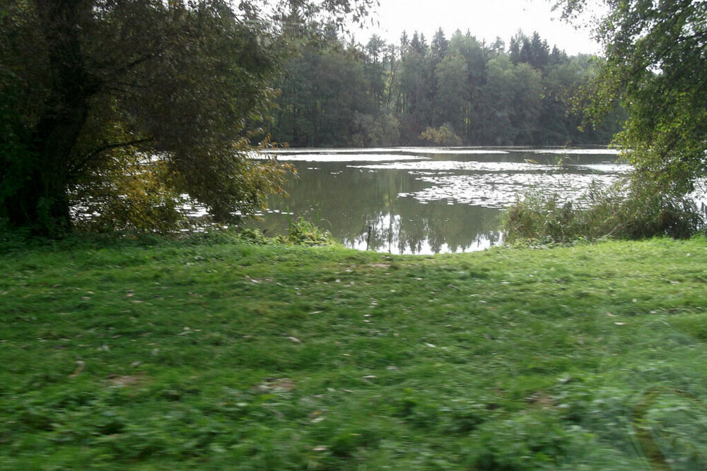 Золотые стёжки Чешского Рая 1089.JPG