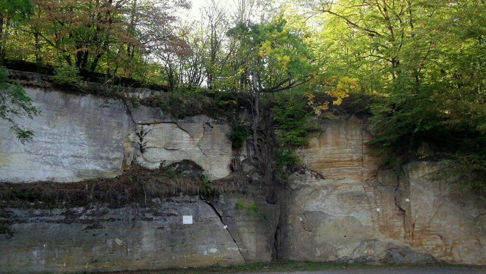 Золотые стёжки Чешского Рая 1344.JPG