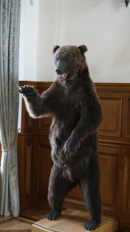 DSC02152 — копия.JPG