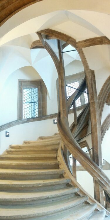 Pano - IMG_20190104_133949 - 2320x4630 - SLIN - Blended Layer.jpg