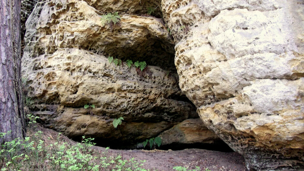 Золотые стёжки Чешского Рая 1113.JPG