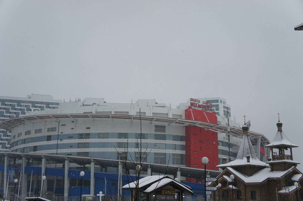 DSC07763   Аленький цветочек 3.01.19 г   .JPG