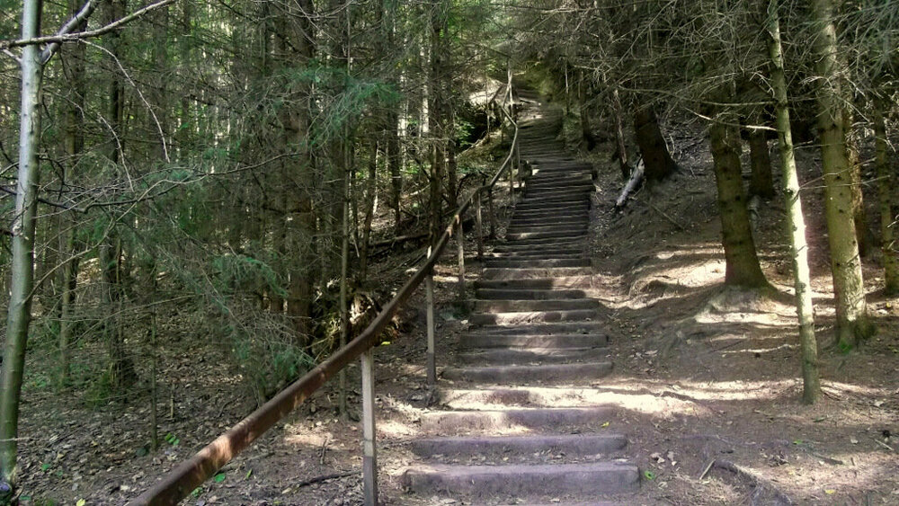 Золотые стёжки Чешского Рая 1186.JPG