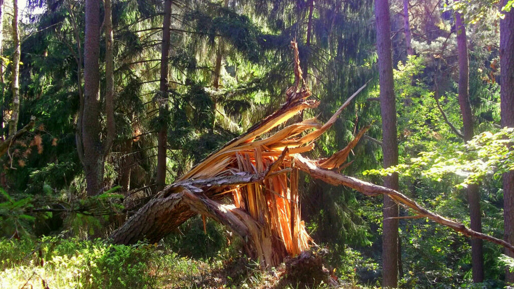 Золотые стёжки Чешского Рая 1118.JPG