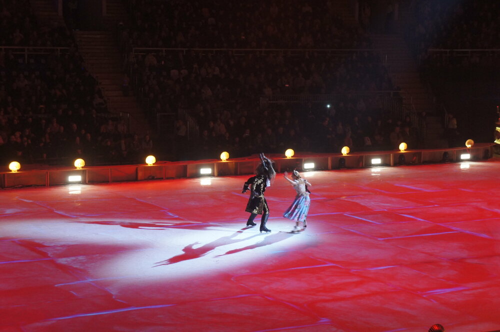 DSC07847   Аленький цветочек 3.01.19 г   .JPG