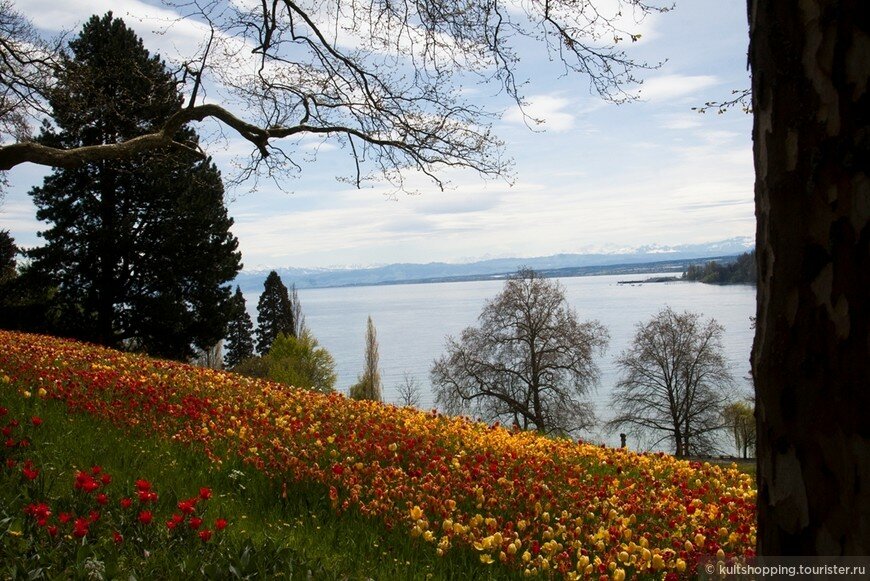 870_581_fixedwidth (7).jpg