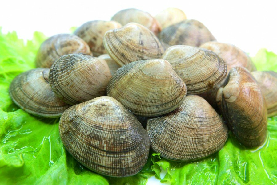clams_vongole_3.jpg