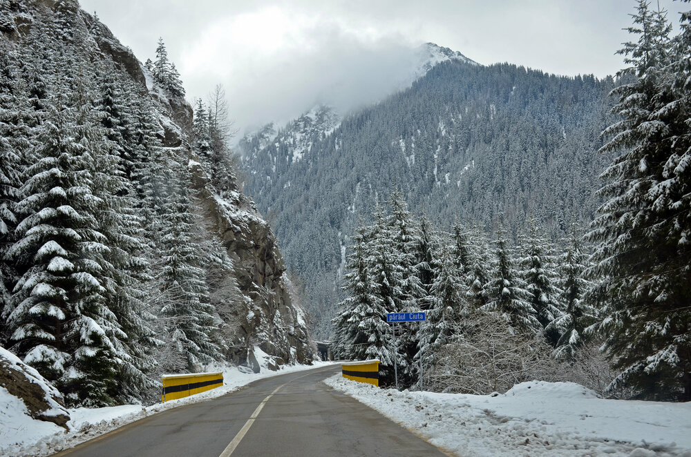 DSC_7526 — копия.JPG