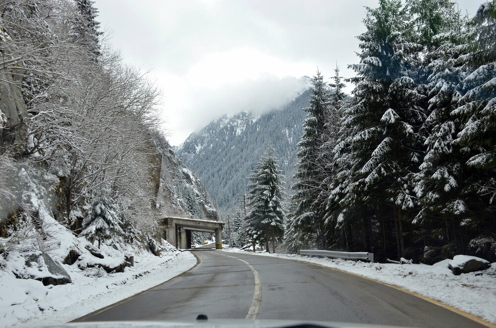 DSC_7514 — копия.JPG