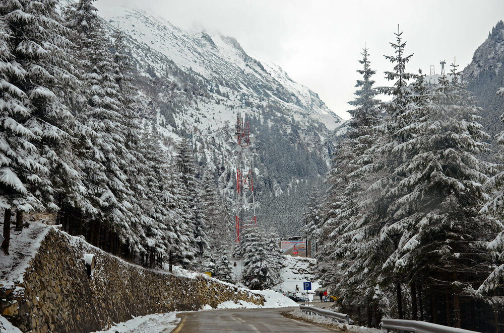 DSC_7554 — копия.JPG