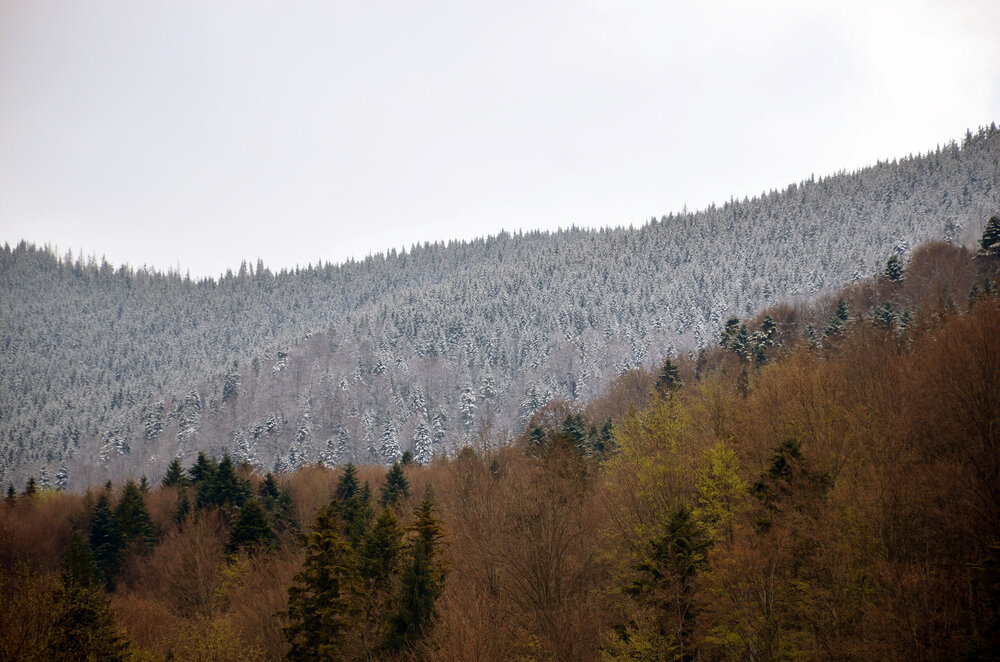 DSC_7395 — копия (2).JPG