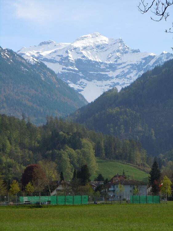 Изображение 529.jpg