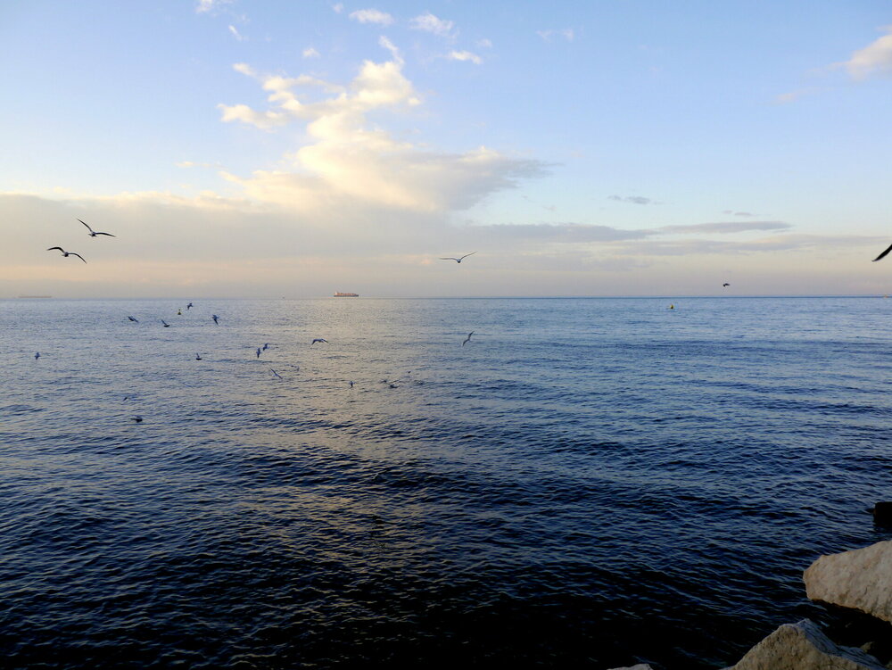 _1390533.JPG 2.jpg 2.jpg