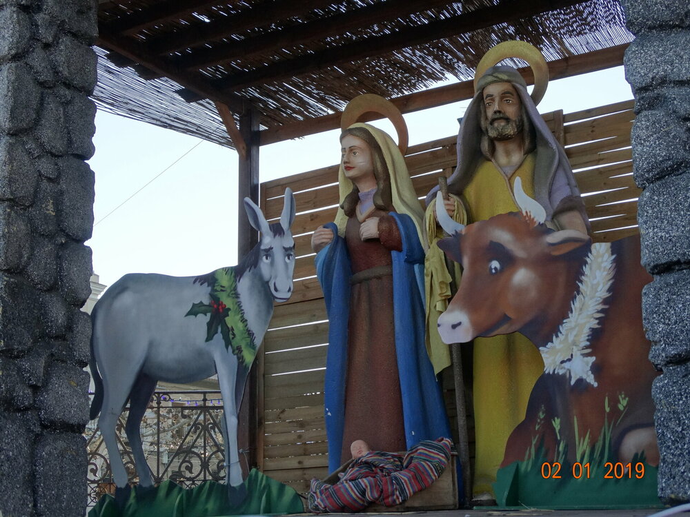 DSC08313 - копия.JPG