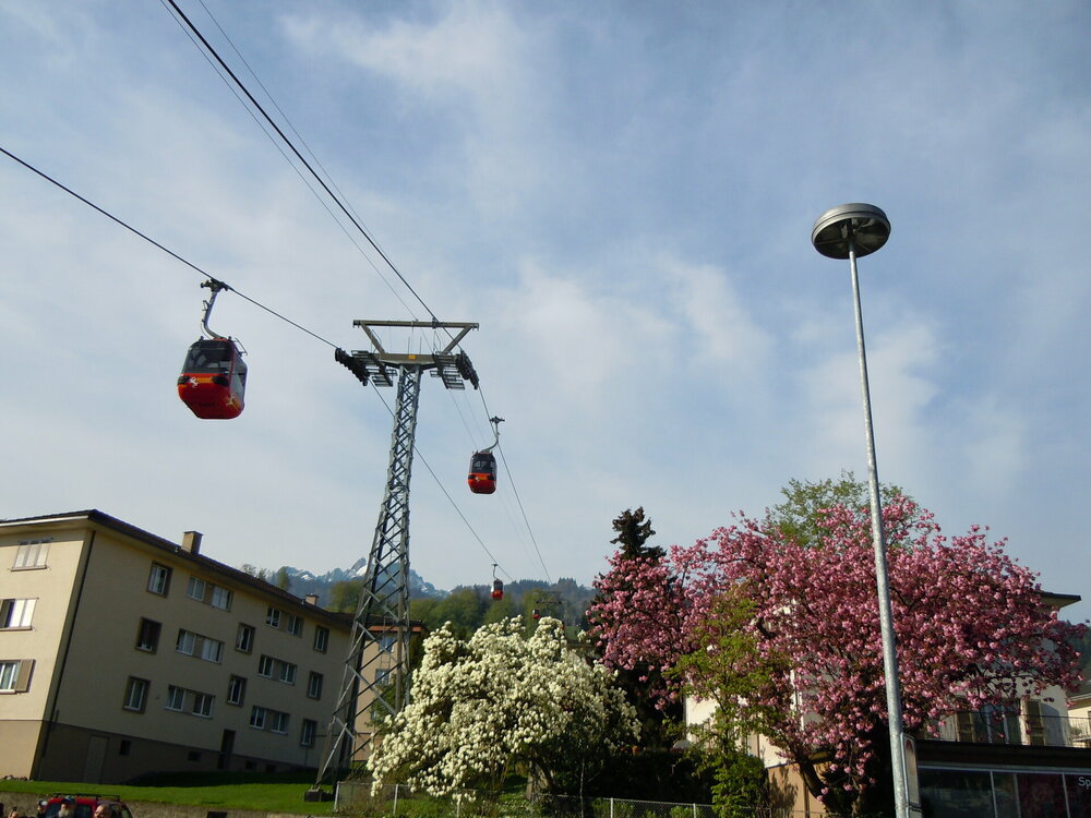 Изображение 595.jpg