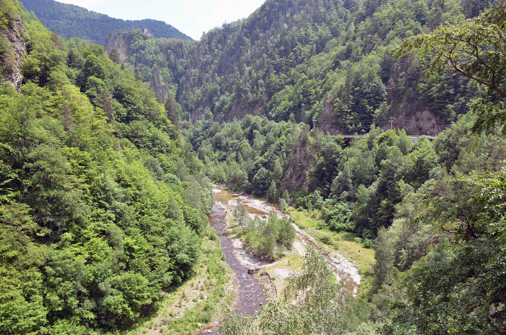 DSC_1551 — копия.JPG