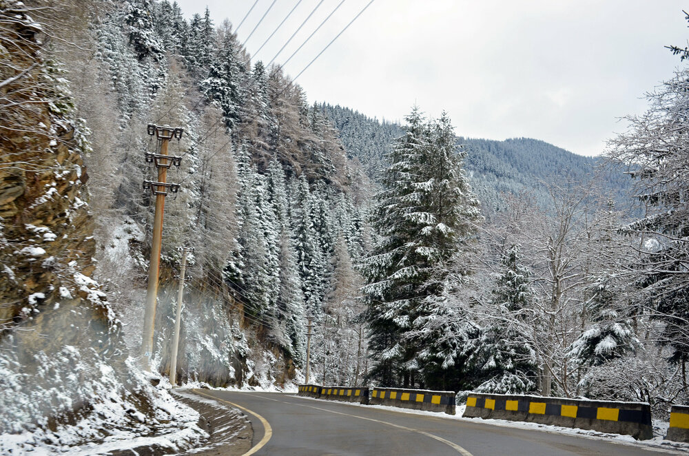 DSC_7473 — копия.JPG