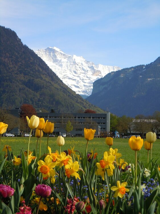 Изображение 538.jpg