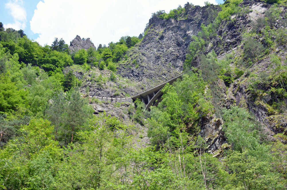 DSC_1564 — копия.JPG