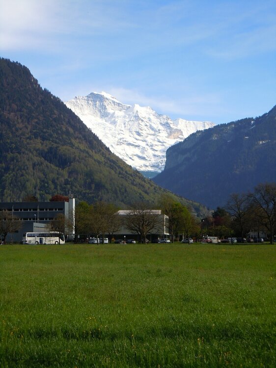 Изображение 533.jpg