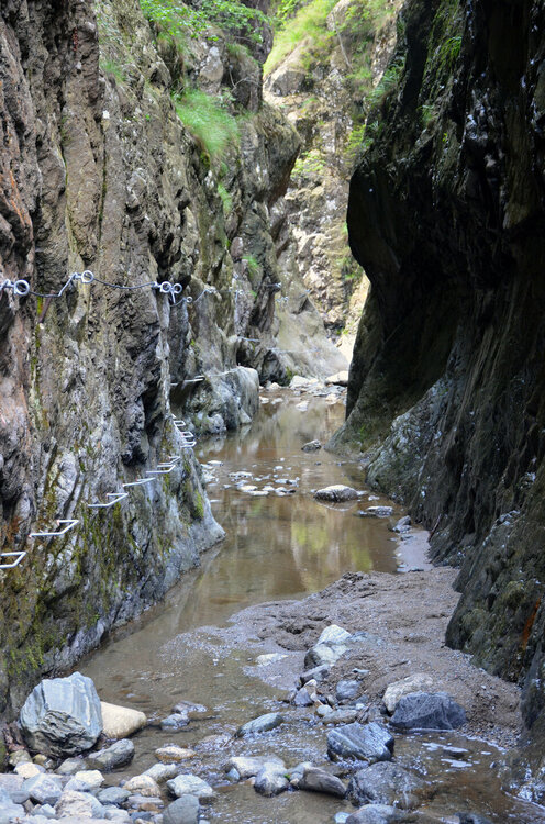 DSC_2201 — копия.JPG