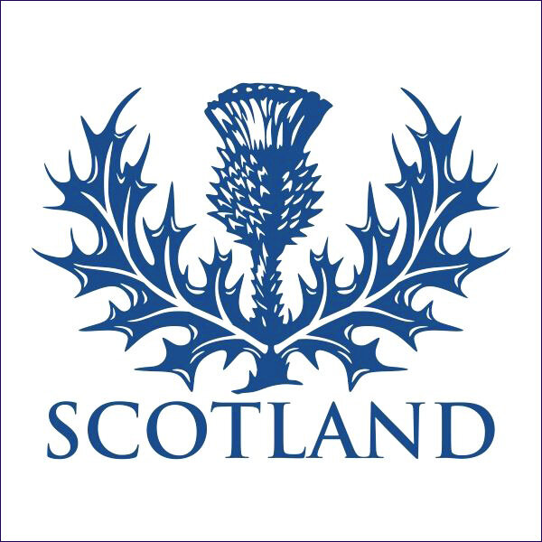 Scottish Thistle.jpg