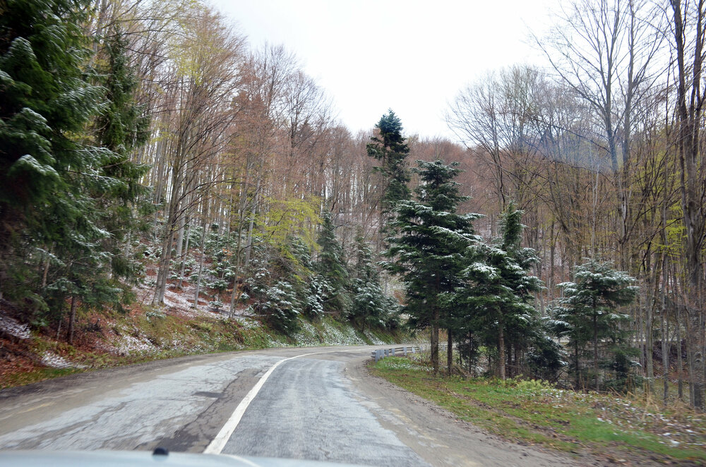 DSC_7420 — копия.JPG