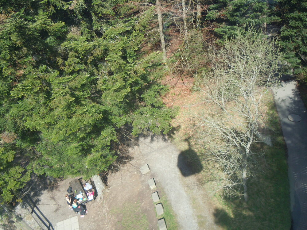 Изображение 657.jpg