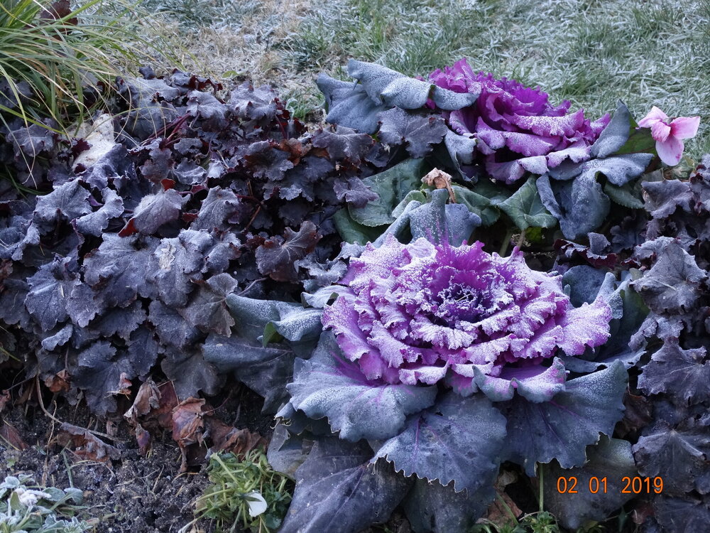 DSC08326 - копия.JPG