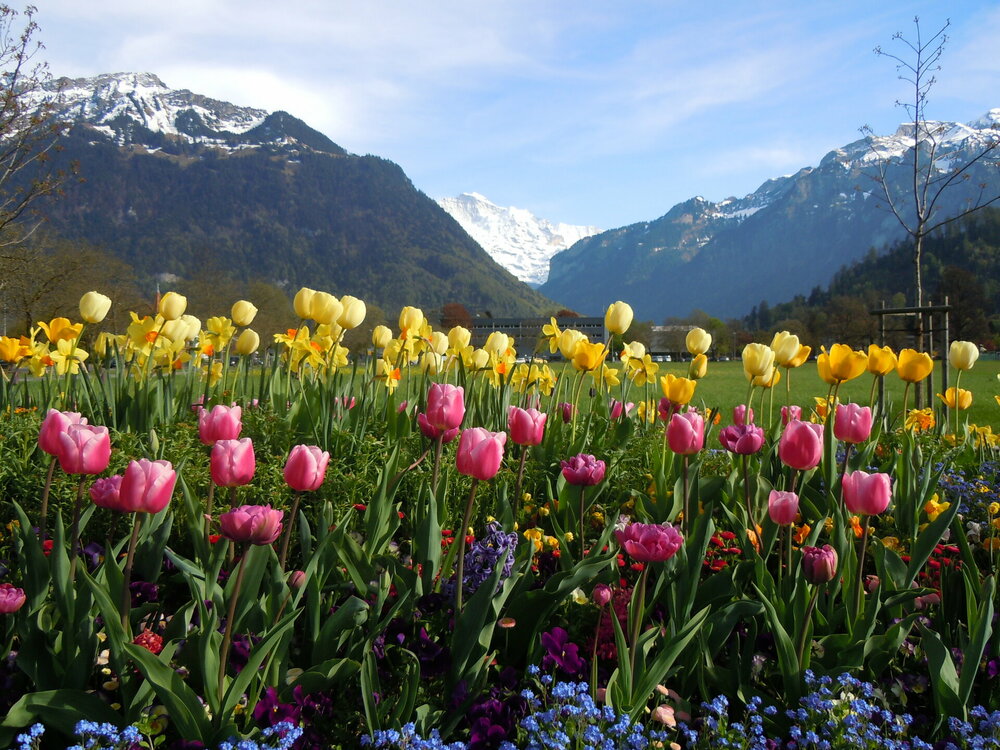 Изображение 541.jpg