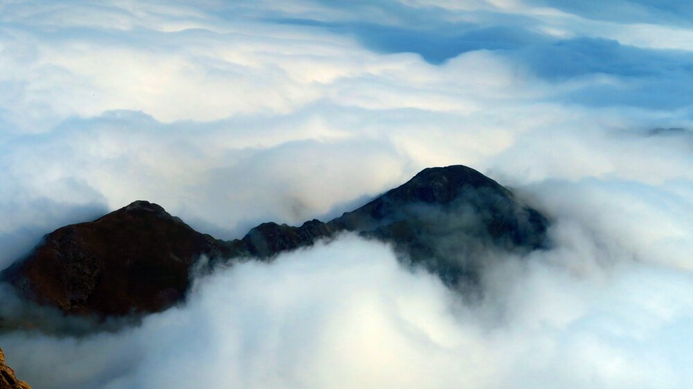 Европа 2017 450.jpg