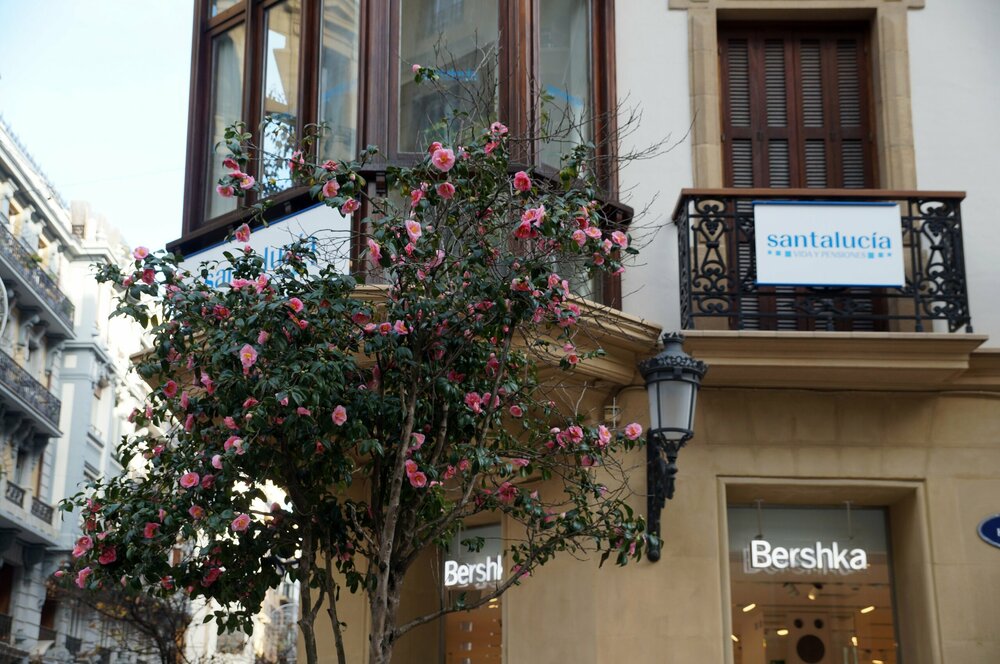 19_Сан Себастьян_185.JPG