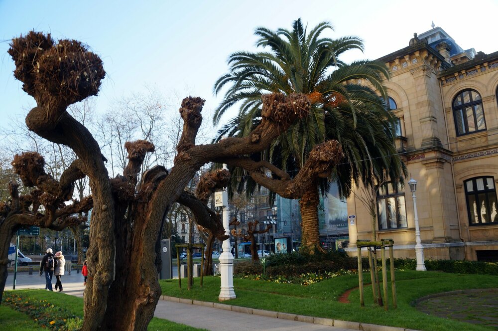 19_Сан Себастьян_076.JPG