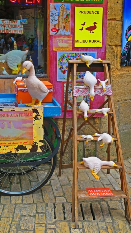 Европа 2017 789.jpg