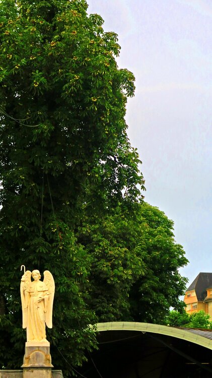 Европа 2017 402.jpg