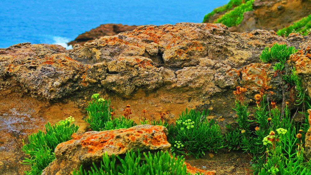 Европа 2017 642.jpg