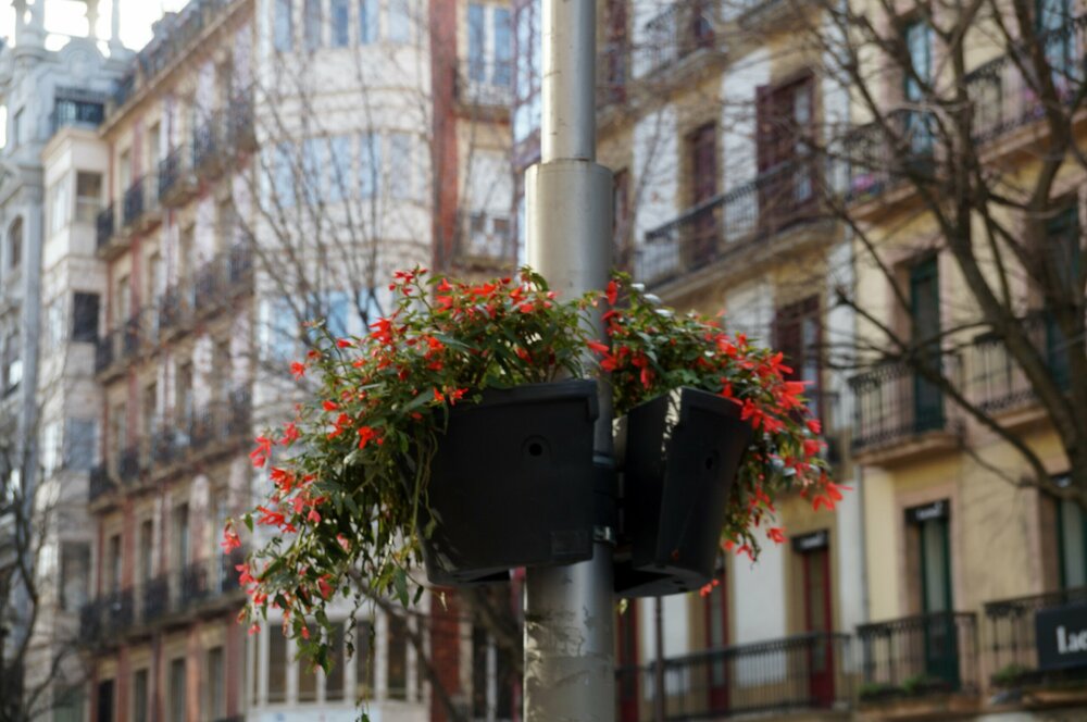 19_Сан Себастьян_181.JPG