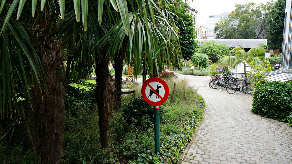 DSC084421 Ботанический сад.jpg