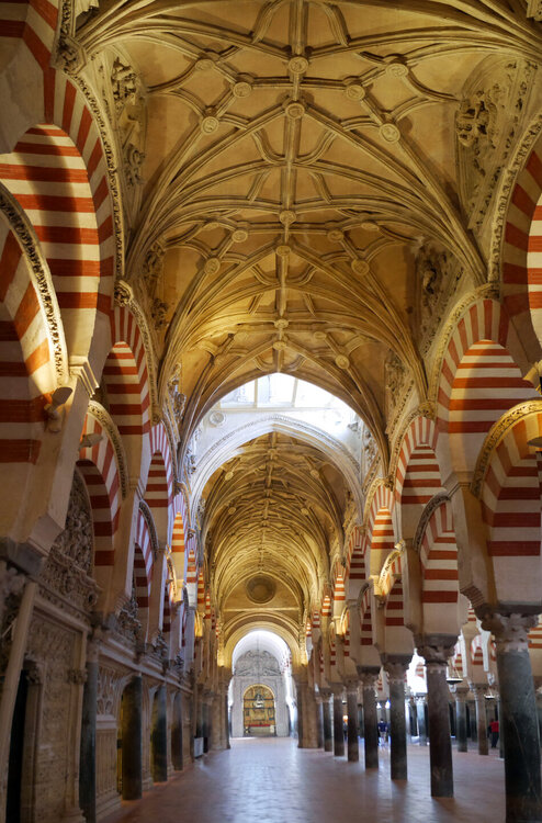 Панорама 701.jpg