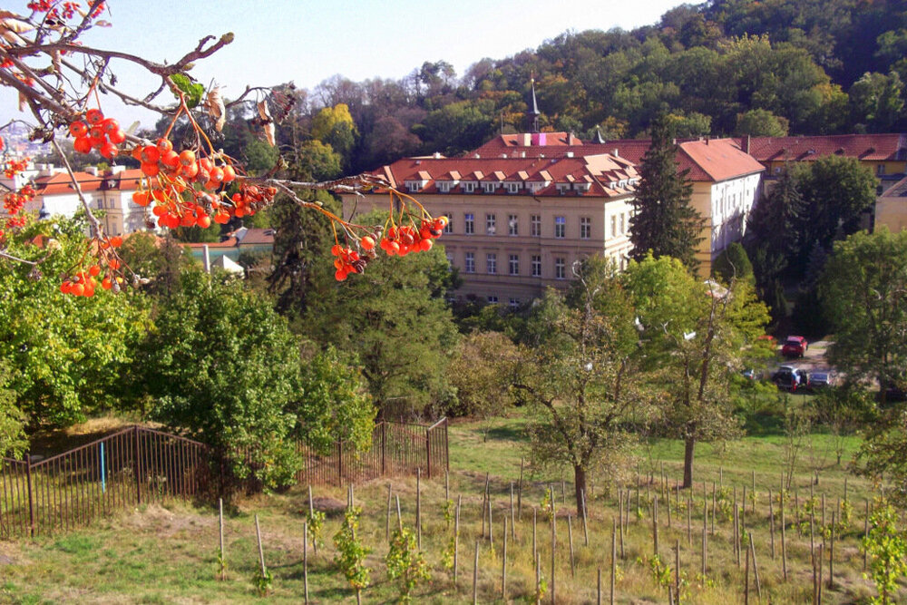 Золотые стёжки Чешского Рая 1590.JPG