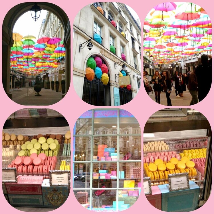 image-2019-04-13 23_14_30.jpg