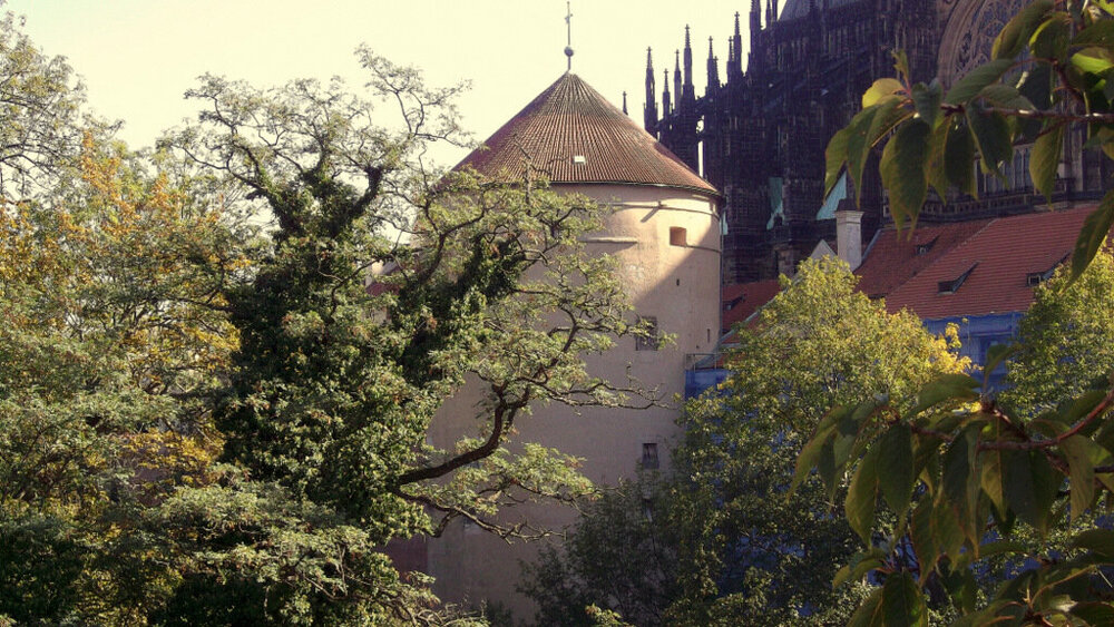 Золотые стёжки Чешского Рая 1480-001.JPG