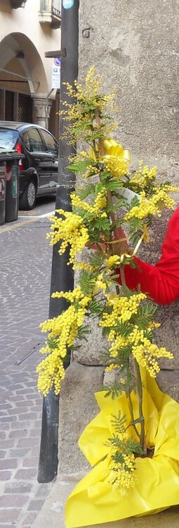 SDC17946 — копия.JPG